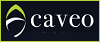 online forex broker CAVEO Review