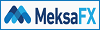 online forex broker MEKSAFX Review
